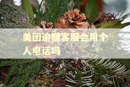 美团逾期客服会用个人电话吗
