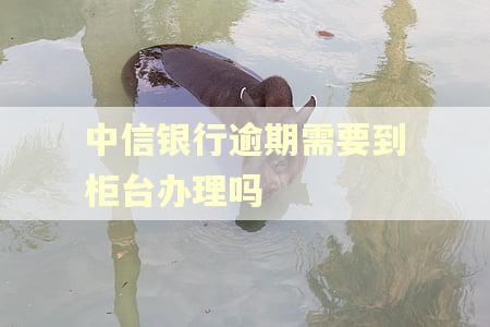 中信银行逾期需要到柜台办理吗