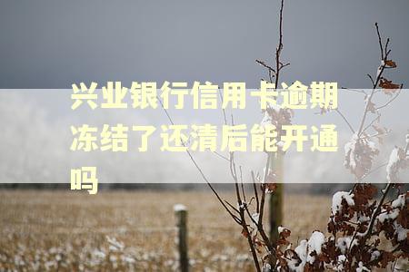 兴业银行信用卡逾期冻结了还清后能开通吗