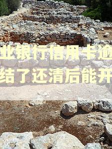 兴业银行信用卡逾期冻结了还清后能开通吗