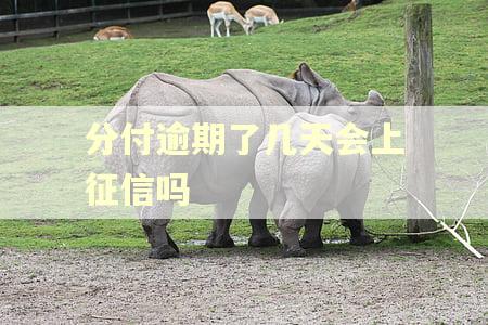 分付逾期了几天会上征信吗