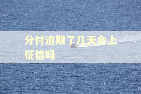 分付逾期了几天会上征信吗 分付逾期了几天会上征信吗