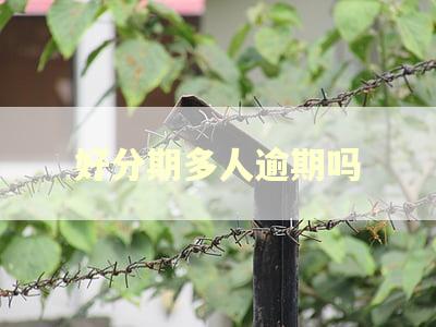 好分期多人逾期吗