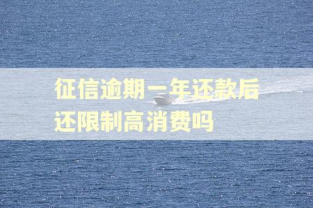 征信逾期一年还款后还限制高消费吗