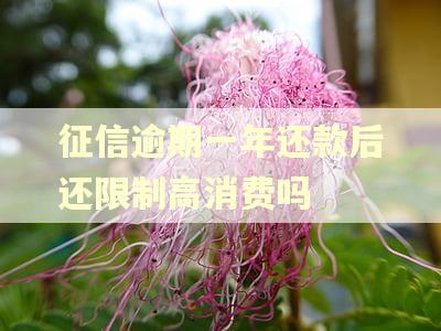 征信逾期一年还款后还限制高消费吗
