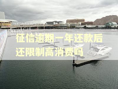 征信逾期一年还款后还限制高消费吗