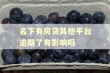 名下有房贷其他平台逾期了有影响吗