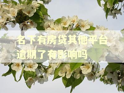名下有房贷其他平台逾期了有影响吗