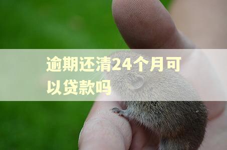 逾期还清24个月可以贷款吗