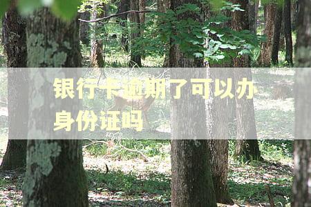 银行卡逾期了可以办身份证吗