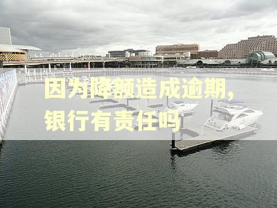 因为降额造成逾期,银行有责任吗