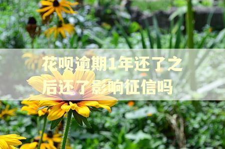 花呗逾期1年还了之后还了影响征信吗