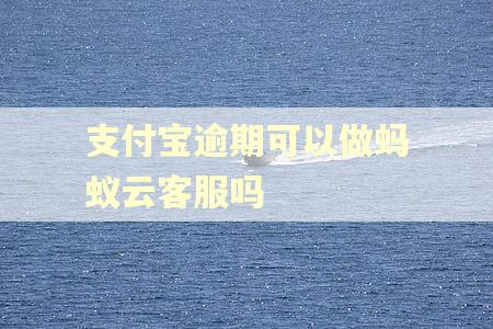 支付宝逾期可以做蚂蚁云客服吗