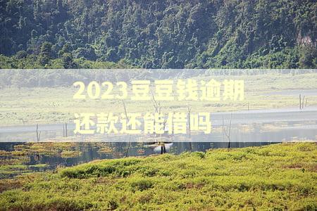 2023豆豆钱逾期还款还能借吗