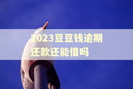 2023豆豆钱逾期还款还能借吗