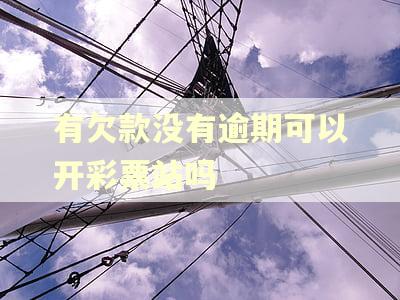 有欠款没有逾期可以开彩票站吗