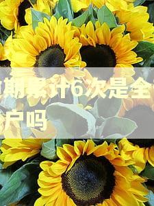 逾期累计6次是全部账户吗