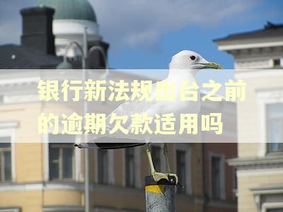 银行新法规出台之前的逾期欠款适用吗
