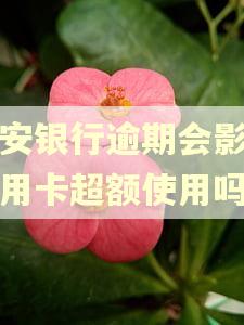 平安银行逾期会影响信用卡超额使用吗