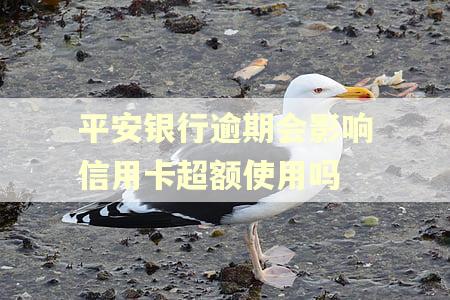 平安银行逾期会影响信用卡超额使用吗