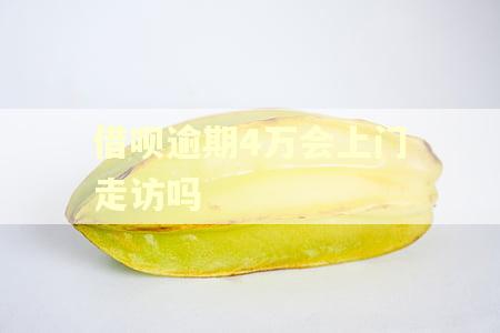 借呗逾期4万会上门走访吗