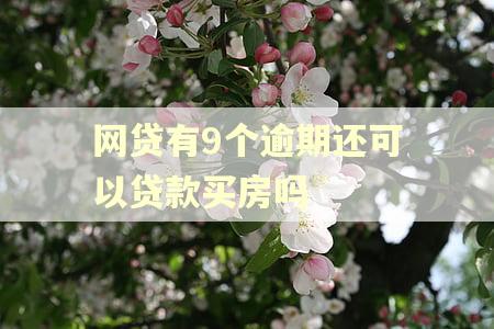 网贷有9个逾期还可以贷款买房吗
