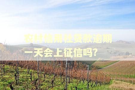 农村信用社贷款逾期一天会上征信吗?