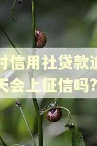农村信用社贷款逾期一天会上征信吗?