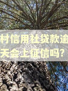 农村信用社贷款逾期一天会上征信吗? 农村信用社贷款逾期一天会上征信吗?