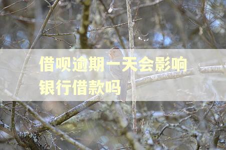 借呗逾期一天会影响银行借款吗