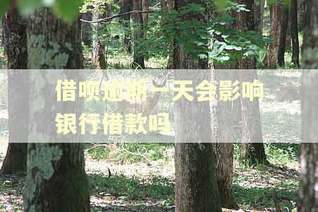 借呗逾期一天会影响银行借款吗 借呗逾期一天会影响银行借款吗
