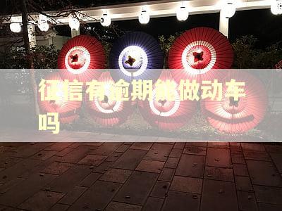 征信有逾期能做动车吗