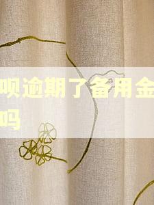 花呗逾期了备用金能用吗