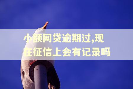 小额网贷逾期过,现在征信上会有记录吗