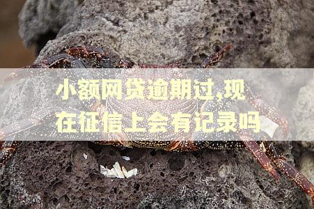 小额网贷逾期过,现在征信上会有记录吗