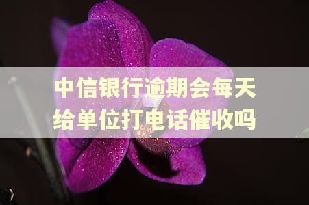 中信银行逾期会每天给单位打电话催收吗