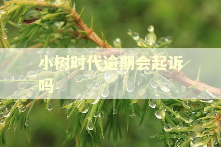 小树时代逾期会起诉吗