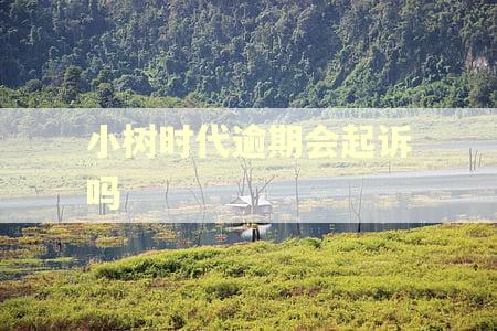小树时代逾期会起诉吗