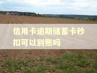 信用卡逾期储蓄卡秒扣可以到账吗