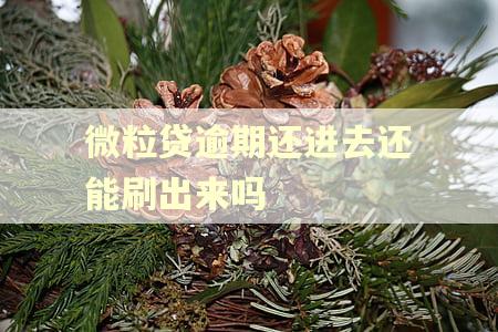 微粒贷逾期还进去还能刷出来吗