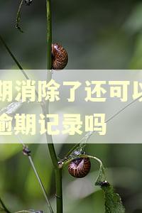 逾期消除了还可以查到逾期记录吗