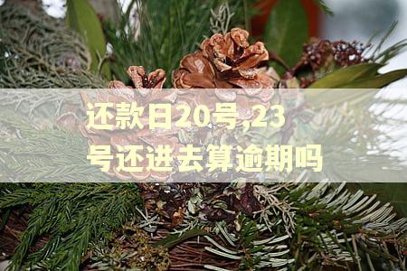 还款日20号,23号还进去算逾期吗
