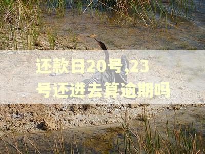 还款日20号,23号还进去算逾期吗