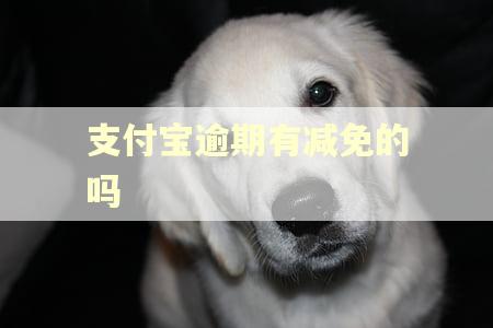 支付宝逾期有减免的吗