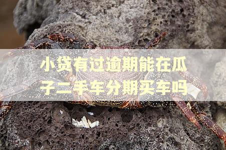小贷有过逾期能在瓜子二手车分期买车吗