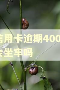 信用卡逾期4000会坐牢吗 信用卡逾期4000会坐牢吗