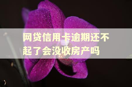 网贷信用卡逾期还不起了会没收房产吗