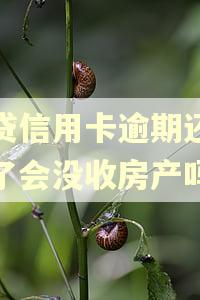 网贷信用卡逾期还不起了会没收房产吗