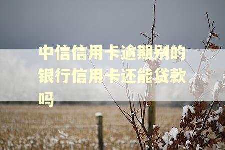 中信信用卡逾期别的银行信用卡还能贷款吗