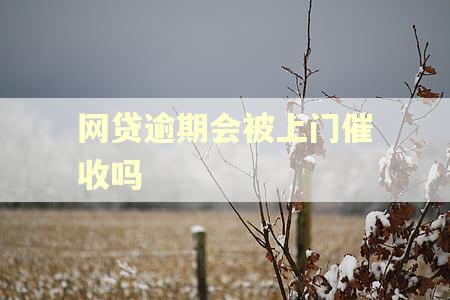 网贷逾期会被上门催收吗